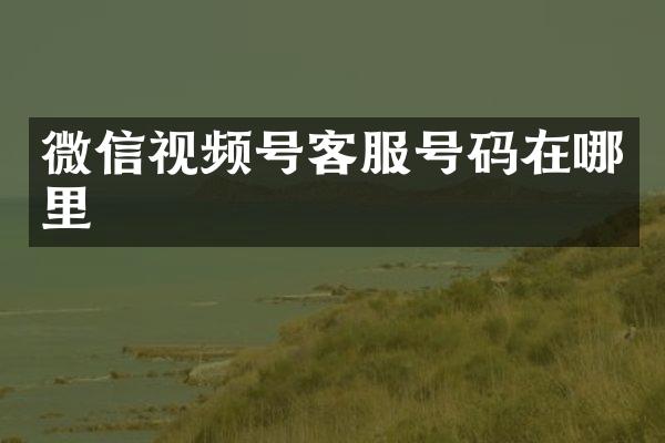 微信视频号客服号码在哪里