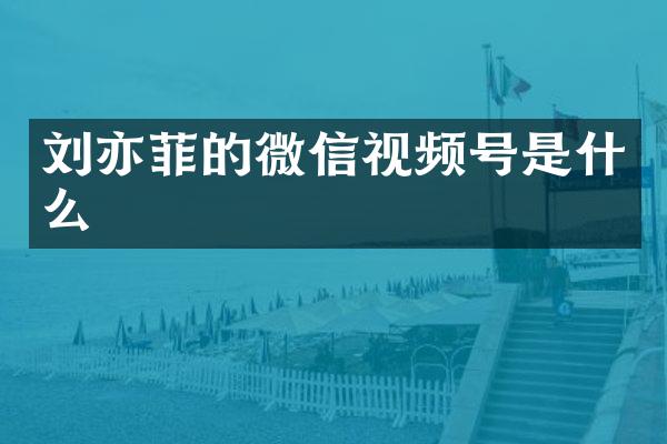 刘亦菲的微信视频号是什么