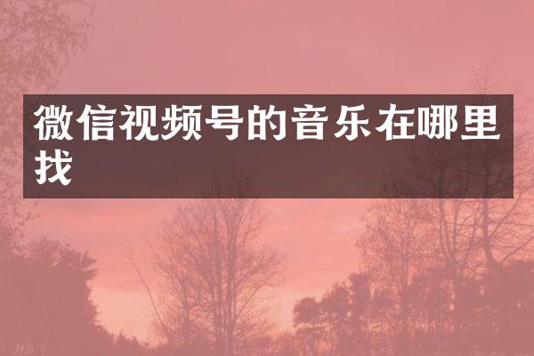 微信视频号的音乐在哪里找