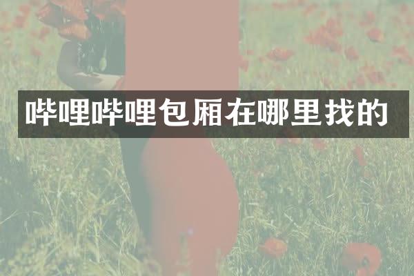 哔哩哔哩包厢在哪里找的