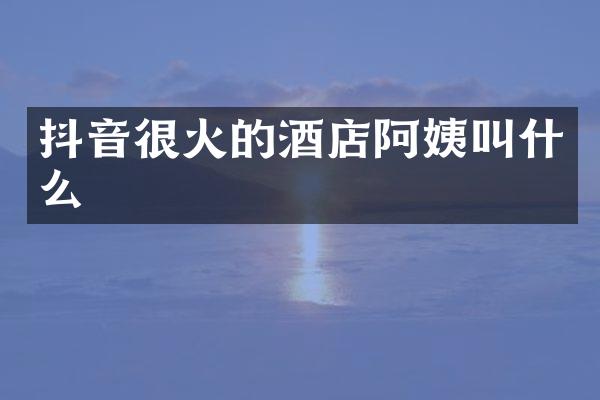 抖音很火的酒店阿姨叫什么
