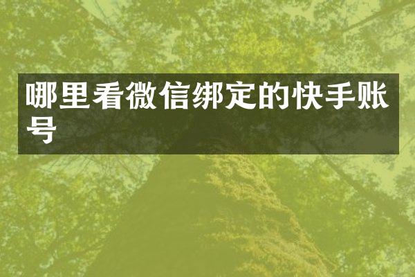 哪里看微信绑定的快手账号