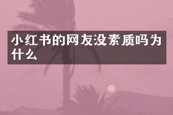 小红书的网友没素质吗为什么