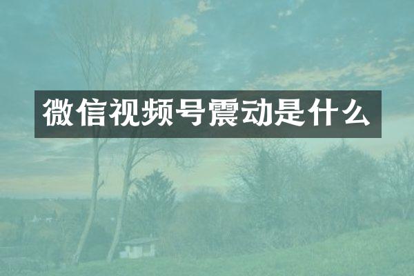 微信视频号震动是什么