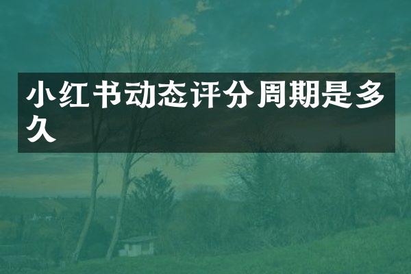 小红书动态评分周期是多久