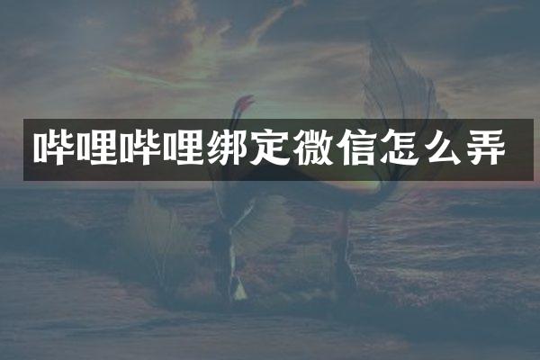 哔哩哔哩绑定微信怎么弄