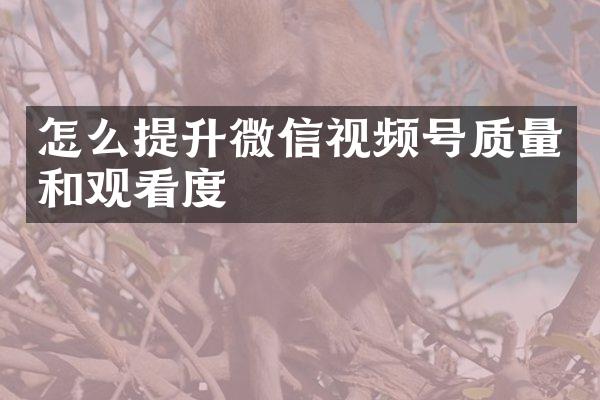 怎么提升微信视频号质量和观看度
