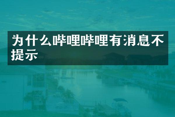 为什么哔哩哔哩有消息不提示