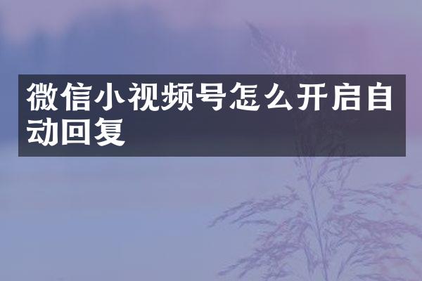 微信小视频号怎么开启自动回复
