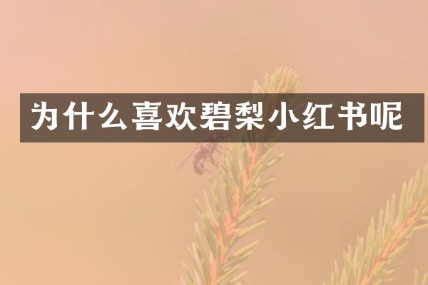 为什么喜欢碧梨小红书呢