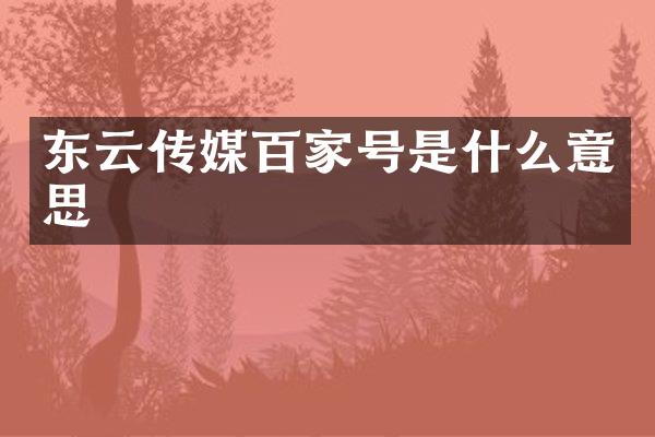 东云传媒百家号是什么意思