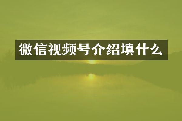微信视频号介绍填什么