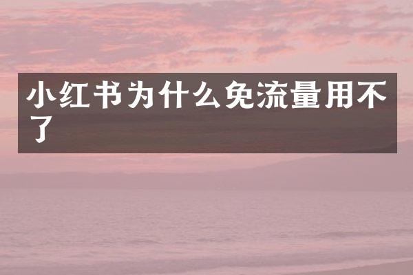 小红书为什么免流量用不了