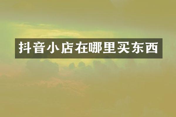 抖音小店在哪里买东西
