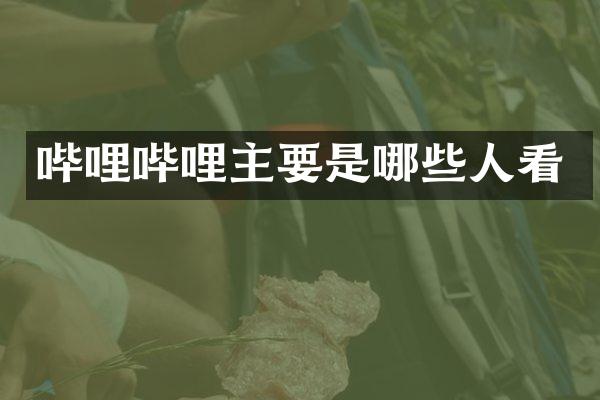 哔哩哔哩主要是哪些人看