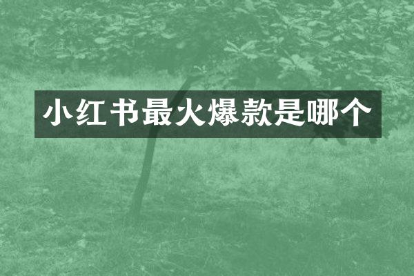 小红书最火爆款是哪个