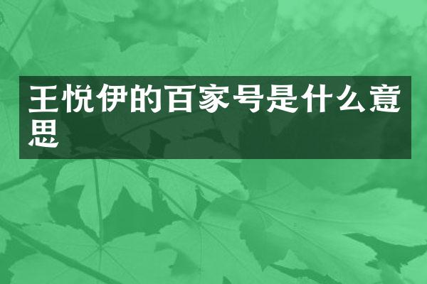 王悦伊的百家号是什么意思