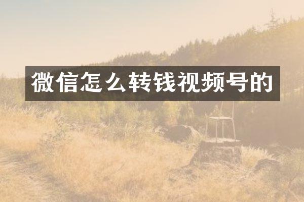 微信怎么转钱视频号的