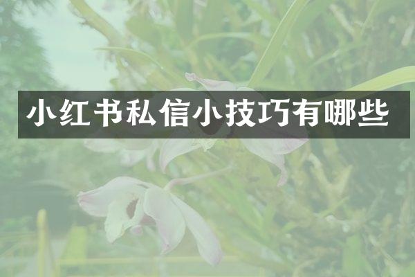 小红书私信小技巧有哪些