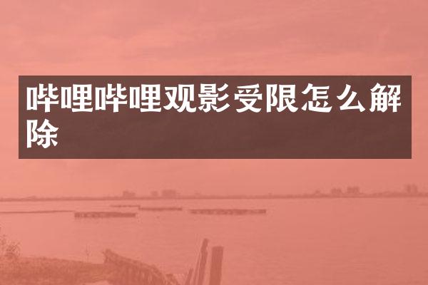 哔哩哔哩观影受限怎么解除
