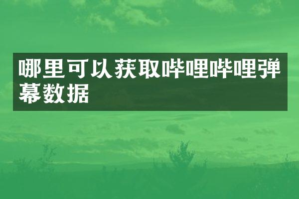 哪里可以获取哔哩哔哩弹幕数据
