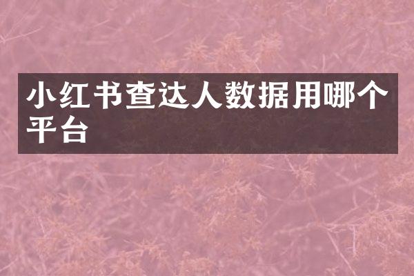 小红书查达人数据用哪个平台