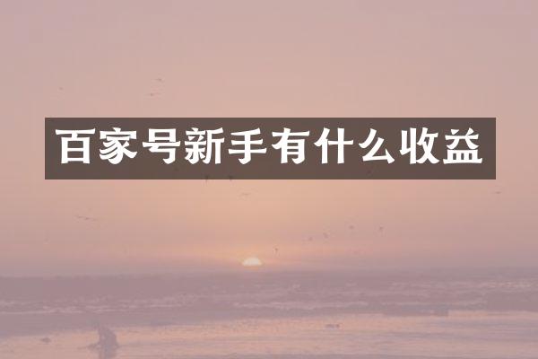 百家号新手有什么收益