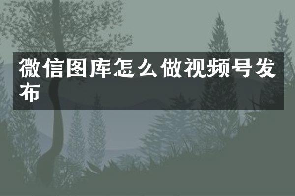 微信图库怎么做视频号发布