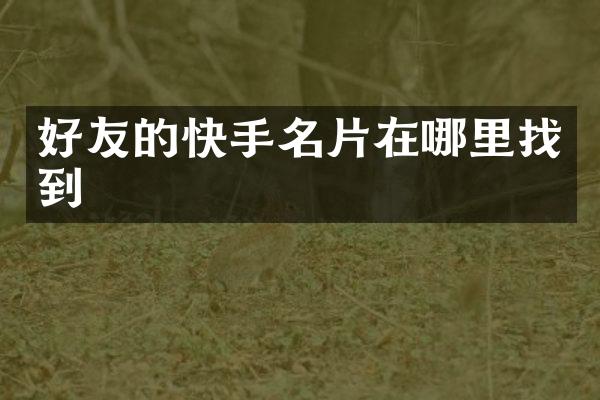 好友的快手名片在哪里找到