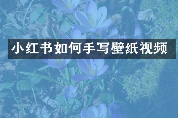 小红书如何手写壁纸视频