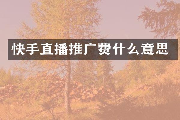 快手直播推广费什么意思