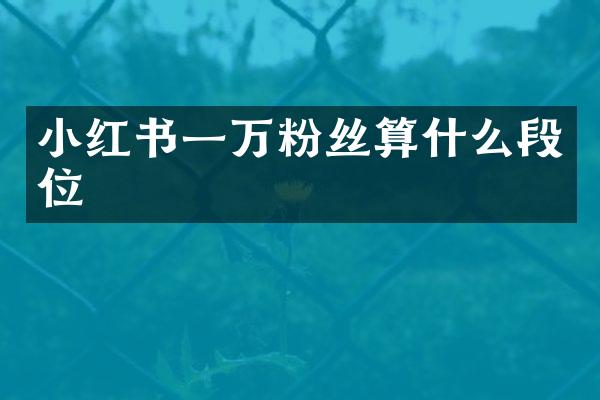 小红书一万粉丝算什么段位