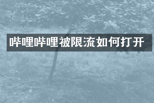 哔哩哔哩被限流如何打开