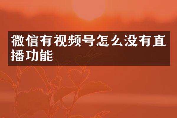 微信有视频号怎么没有直播功能