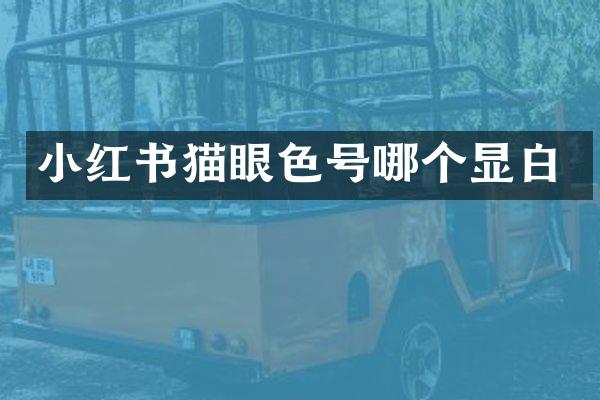 小红书猫眼色号哪个显白
