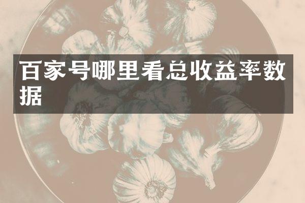 百家号哪里看总收益率数据