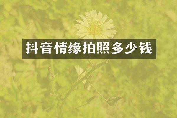 抖音情缘拍照多少钱