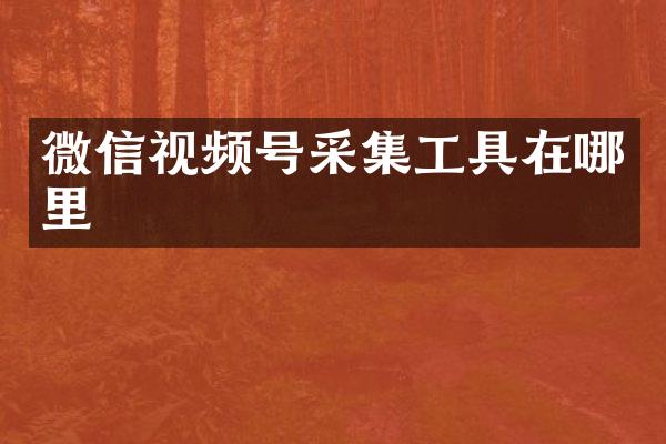 微信视频号采集工具在哪里