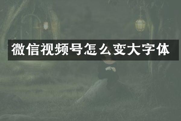 微信视频号怎么变大字体