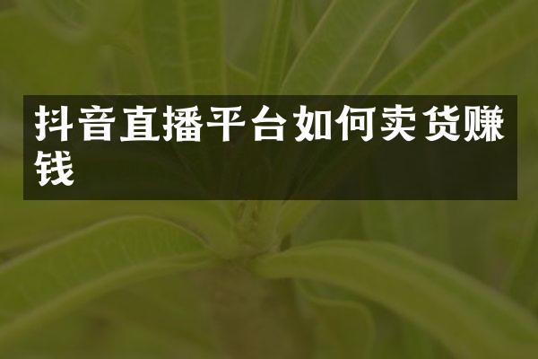 抖音直播平台如何卖货赚钱