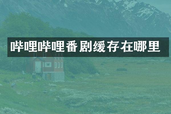哔哩哔哩番剧缓存在哪里