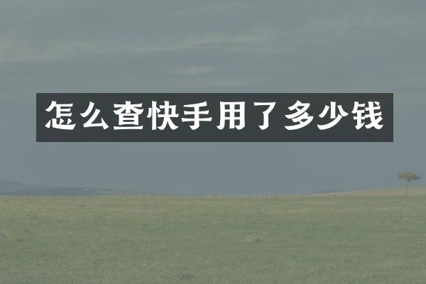 怎么查快手用了多少钱