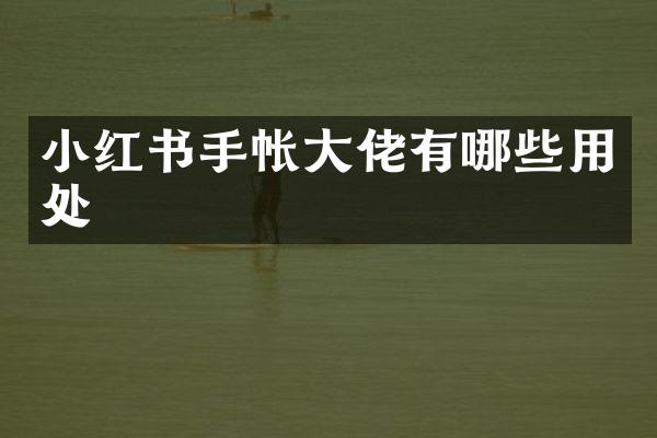 小红书手帐大佬有哪些用处