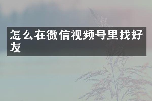 怎么在微信视频号里找好友