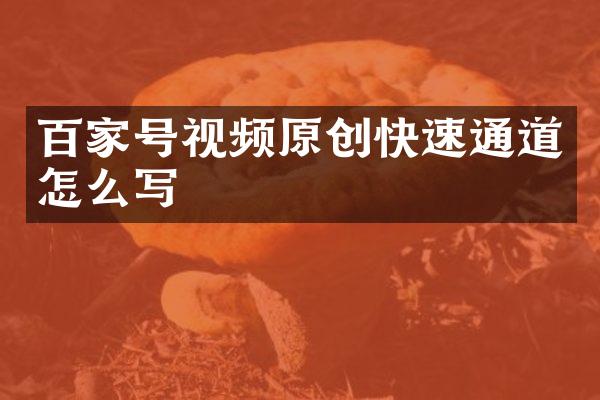 百家号视频原创快速通道怎么写