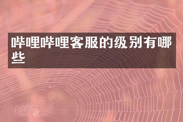 哔哩哔哩客服的级别有哪些