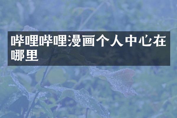 哔哩哔哩漫画个人中心在哪里