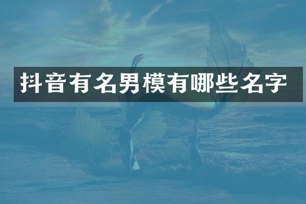 抖音有名男模有哪些名字