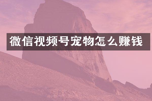 微信视频号宠物怎么赚钱