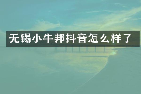 无锡小牛邦抖音怎么样了